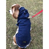 File Raw Jeans Köpek Kıyafet