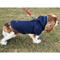 File Raw Jeans Köpek Kıyafet