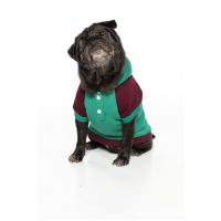 Yeşil I have a Dream Baskılı Köpek Hoodie(Sweatshirt)