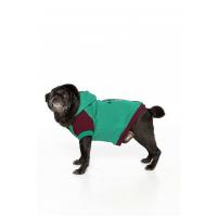Yeşil I have a Dream Baskılı Köpek Hoodie(Sweatshirt)