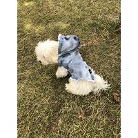 Siyah Pigment Damlatmalı Jeans Köpek kıyafeti