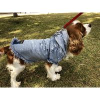 Turuncu Pigment Damlatmalı Jeans Köpek Kıyafet