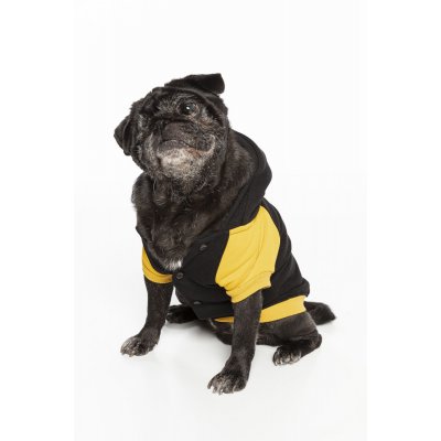 Rockstar Nakışlı Siyah Köpek Hoodie Sweatshirt