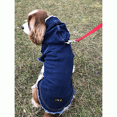 File Raw Jeans Köpek Kıyafet