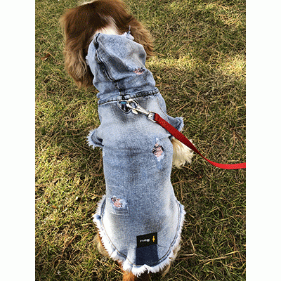 Siyah Pigment Damlatmalı Jeans Köpek kıyafeti