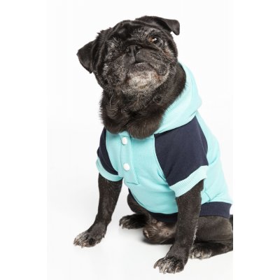 Turkuaz I am so magical Köpek Hoodie (Sweatshirt)