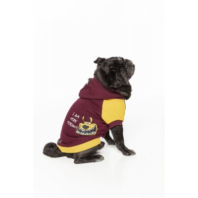 Bordo I am very serious baskılı Köpek Hoodie