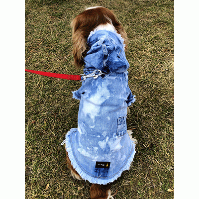 Sürme Efektli Jeans Köpek Kıyafet